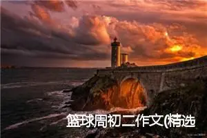 篮球周初二作文(精选5篇)