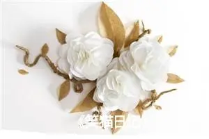 《笑猫日记》300字读书笔记