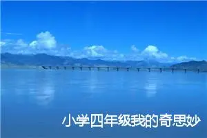 小学四年级我的奇思妙想作文(精选7篇)