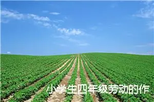 小学生四年级劳动的作文(精选6篇)