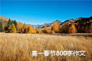 高一春节800字作文(精选5篇)