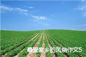 最爱家乡的风俗作文500字(精选10篇)