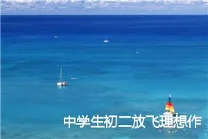 中学生初二放飞理想作文600字(精选5篇)