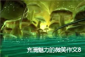 充满魅力的微笑作文800字(精选5篇)