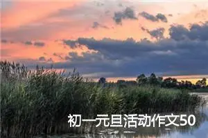 初一元旦活动作文500字(精选6篇)