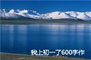 我上初一了600字作文(精选5篇)