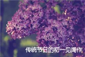 传统节日的初一见闻作文