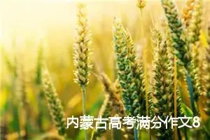 内蒙古高考满分作文800字