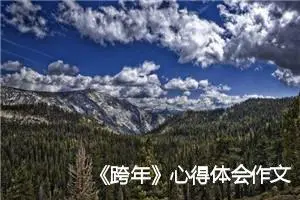 《跨年》心得体会作文