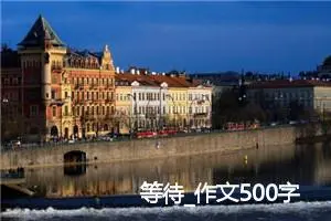 等待_作文500字