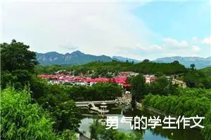 勇气的学生作文