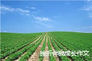 挫折伴我成长作文