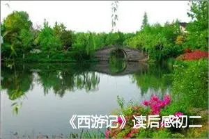 《西游记》读后感初二作文