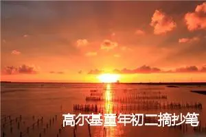 高尔基童年初二摘抄笔记