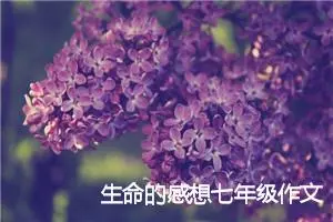 生命的感想七年级作文600字(精选5篇)