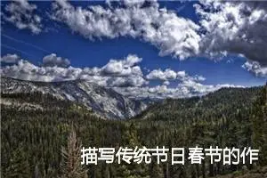 描写传统节日春节的作文(精选5篇)