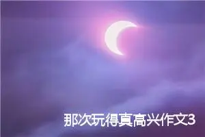 那次玩得真高兴作文300字(精选8篇)