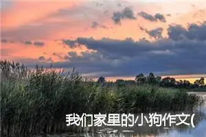 我们家里的小狗作文(精选5篇)
