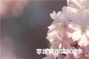 零距离作文800字