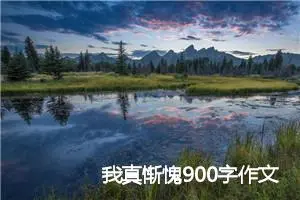 我真惭愧900字作文