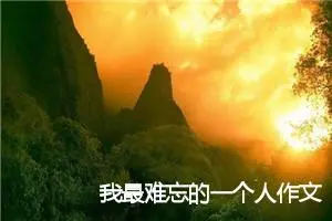 我最难忘的一个人作文600字高中