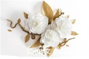 初中作文《明天你好》作文