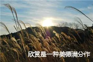 欣赏是一种美德满分作文(精选5篇)