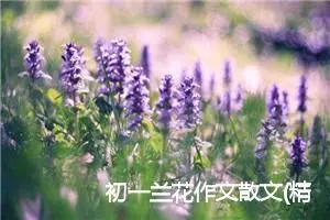 初一兰花作文散文(精选5篇)