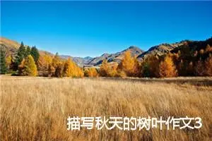 描写秋天的树叶作文350字
