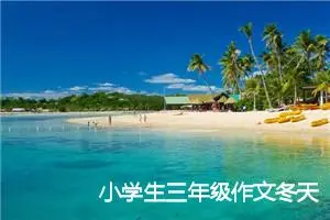 小学生三年级作文冬天600字(精选5篇)