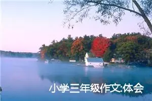 小学三年级作文:体会母亲的辛苦