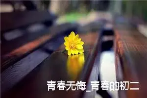 青春无悔_青春的初二作文600字(精选5篇)