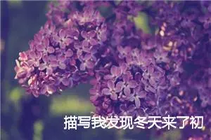 描写我发现冬天来了初中作文(精选5篇)