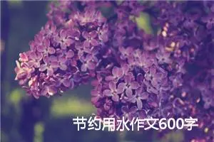 节约用水作文600字(精选5篇)