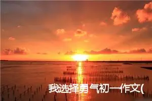 我选择勇气初一作文(精选5篇)
