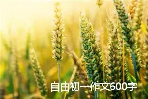 自由初一作文600字(精选5篇)