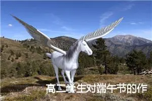 高二学生对端午节的作业作文整理(精选5篇)