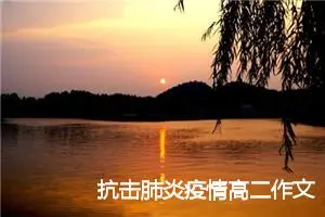 抗击肺炎疫情高二作文600字