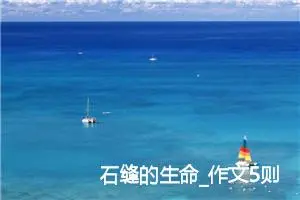 石缝的生命_作文5则