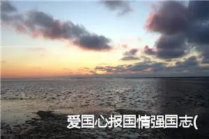 爱国心报国情强国志(精选5篇)