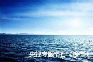 央视专题节目《榜样4》观后有感800字