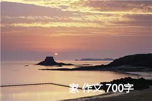 家 作文 700字