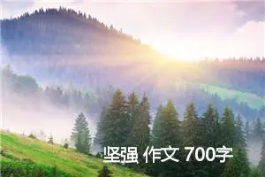 坚强 作文 700字