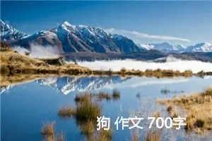 狗 作文 700字
