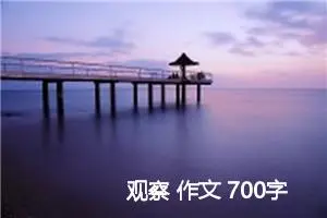观察 作文 700字