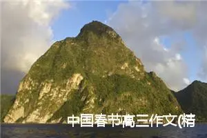 中国春节高三作文(精选5篇)