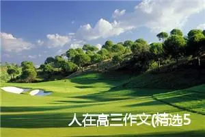 人在高三作文(精选5篇)