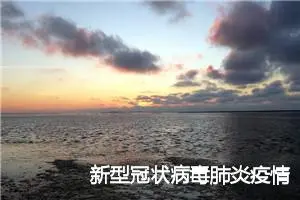 新型冠状病毒肺炎疫情高考作文范例摘选