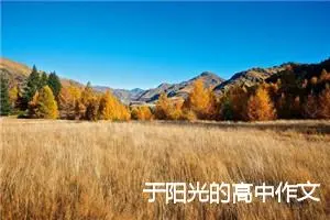 于阳光的高中作文