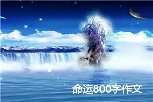 命运800字作文